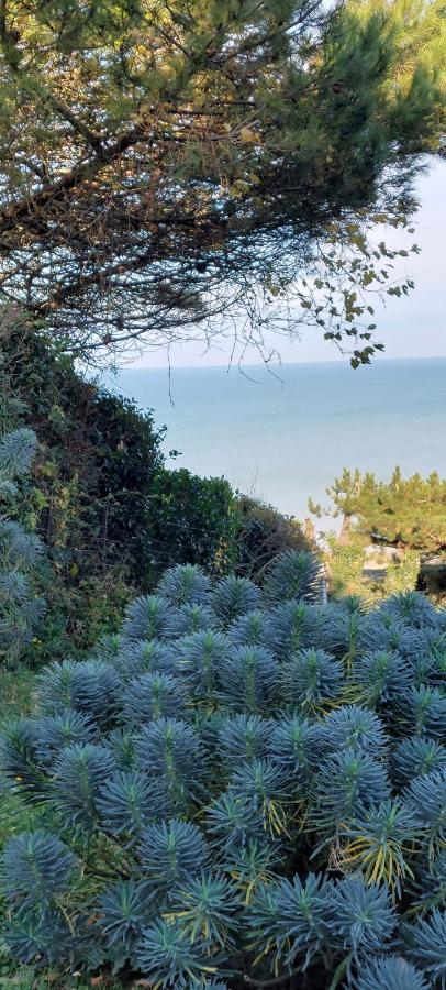 דירות Le Bois de Cise Le Cise Eau A Bois מראה חיצוני תמונה
